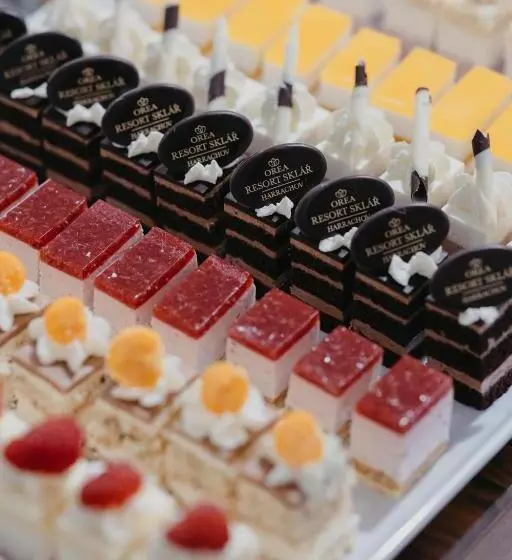 Fotos del hotel Orea Resort Sklá? Harrachov:  22