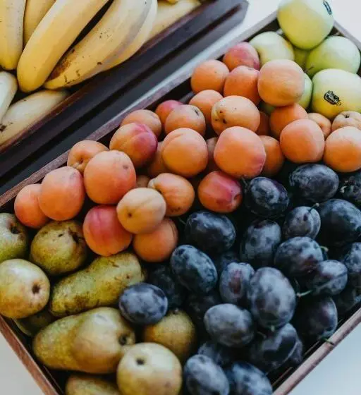 Fotos del hotel Orea Resort Sklá? Harrachov:  24