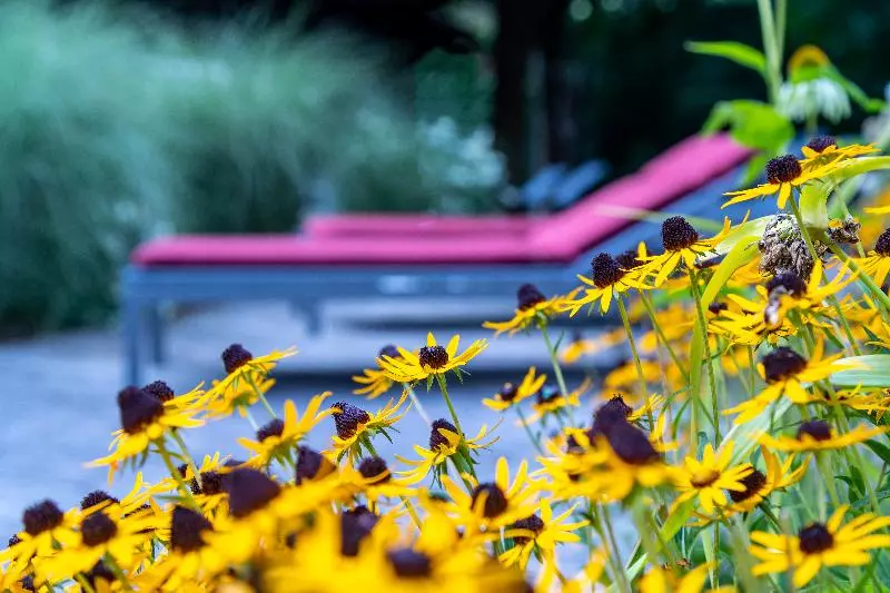 Fotos del hotel Der Schütthof:  6