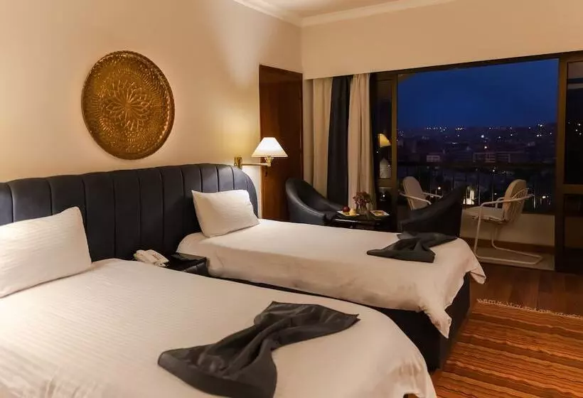 Fotos del hotel Basma Hotel Aswan:  2