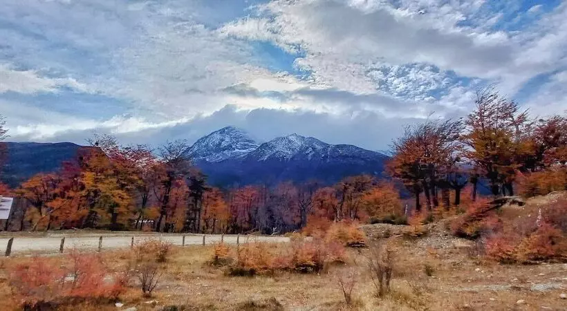 Fotos del hotel Wyndham Garden Ushuaia  Del Glaciar:  14