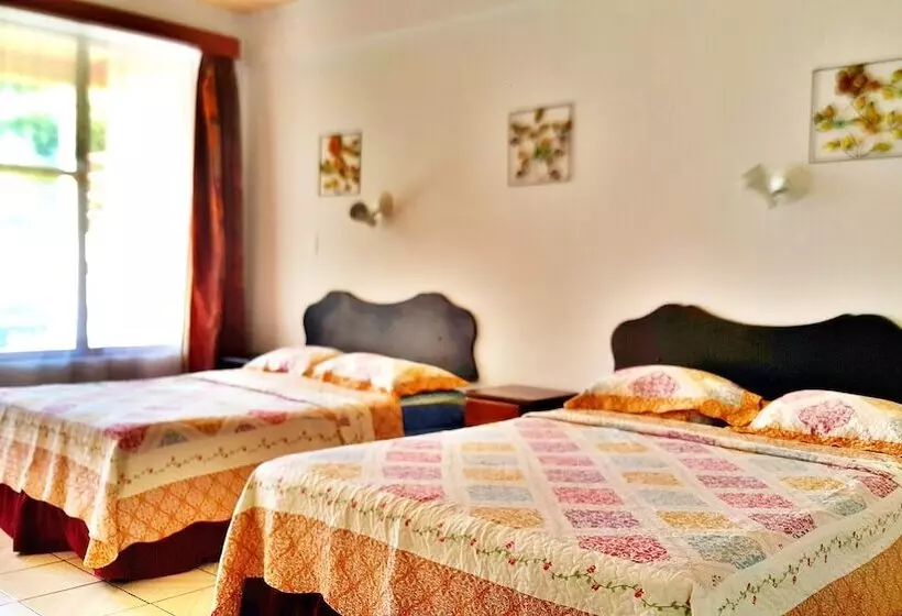 Fotos del hotel Divisamar:  45