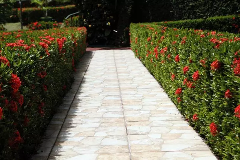 Fotos del hotel Divisamar:  6