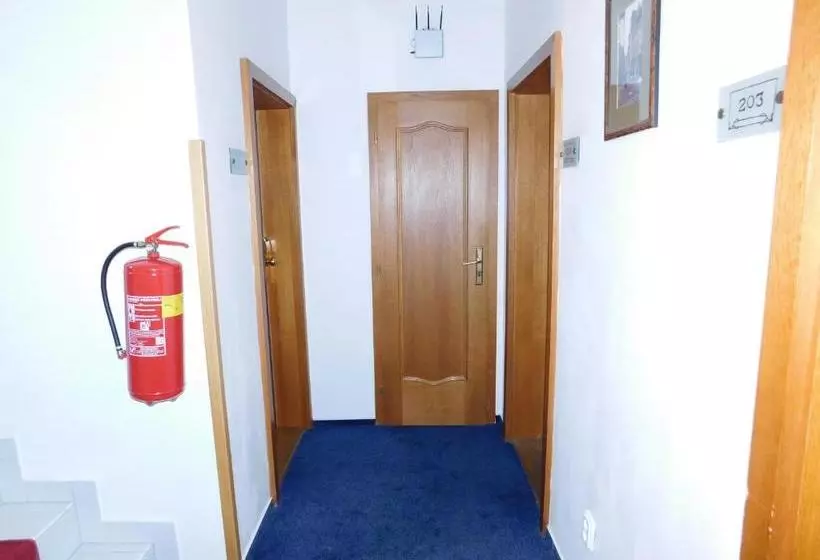 Fotos del hotel Vysehrad:  3