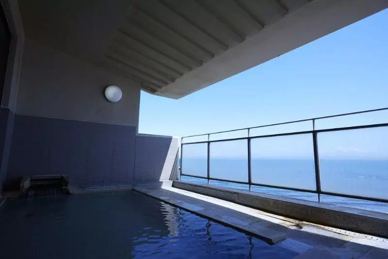 Fotos del hotel Wakamatsu Hot Spring Resort:  2