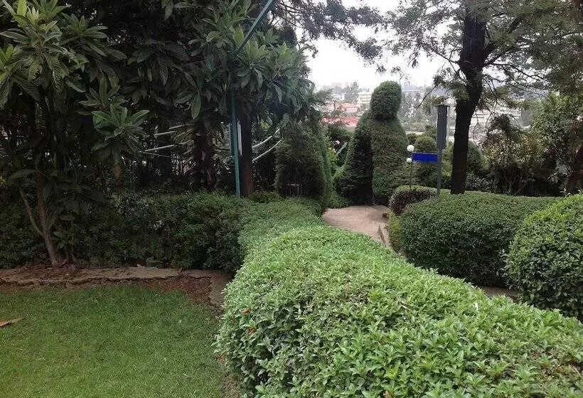 Fotos del hotel Ararat:  4