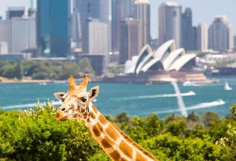 Fotos del hotel Holiday Inn Darling Harbour, An Ihg:  23