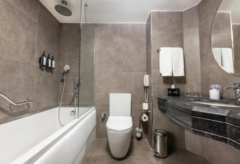 Fotos del hotel Eresin S Topkapi:  4
