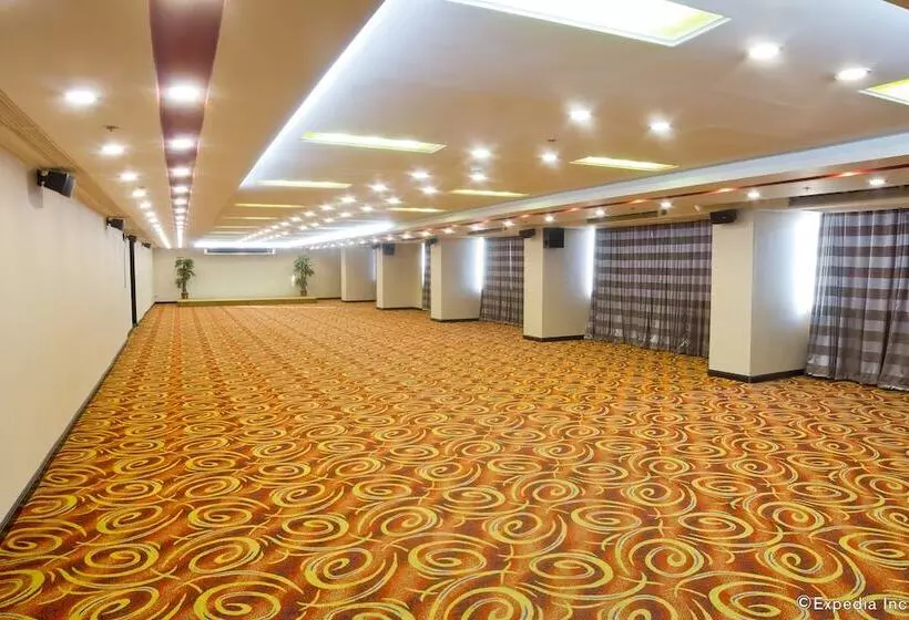 Fotos del hotel Bayview Park Hotel Manila:  14