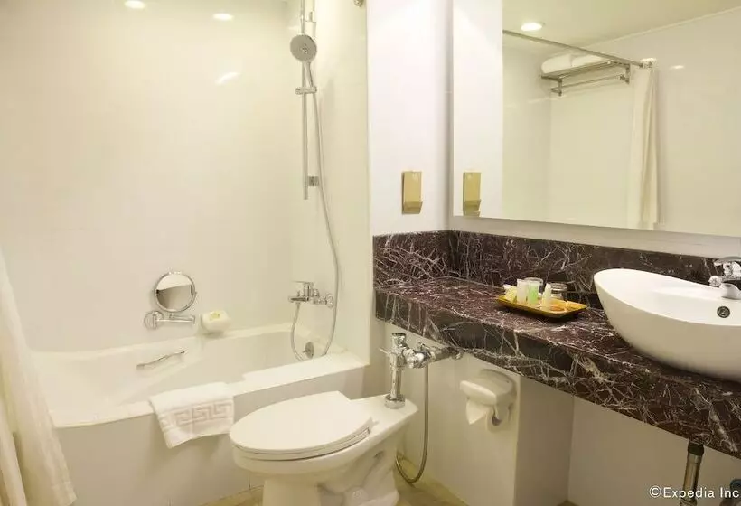 Fotos del hotel Bayview Park Hotel Manila:  21