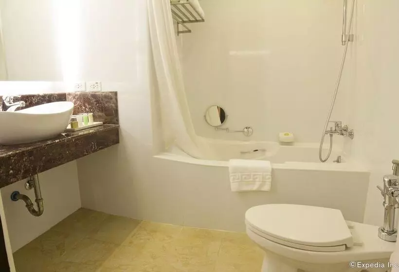 Fotos del hotel Bayview Park Hotel Manila:  23