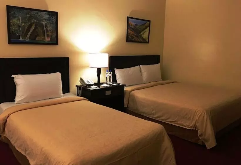 Fotos del hotel Bayview Park Hotel Manila:  20