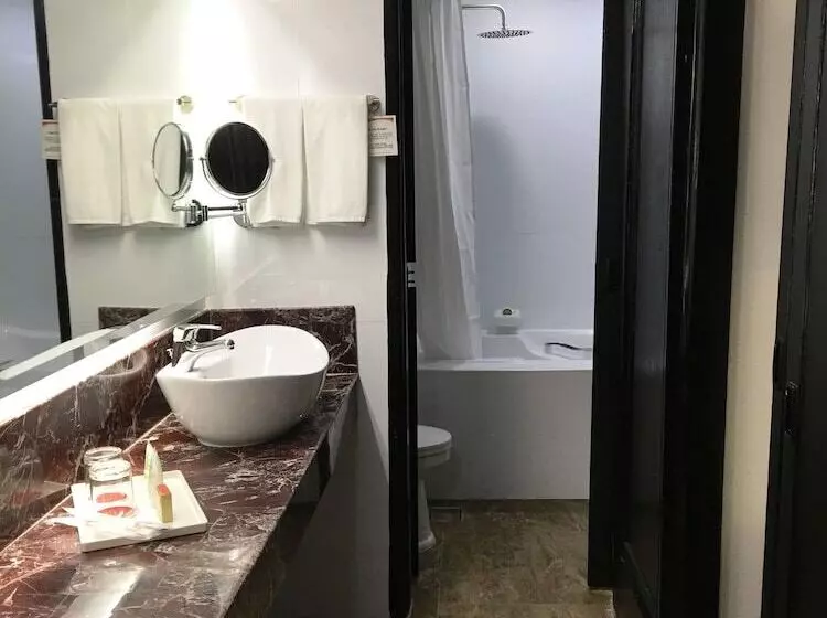 Fotos del hotel Bayview Park Hotel Manila:  16