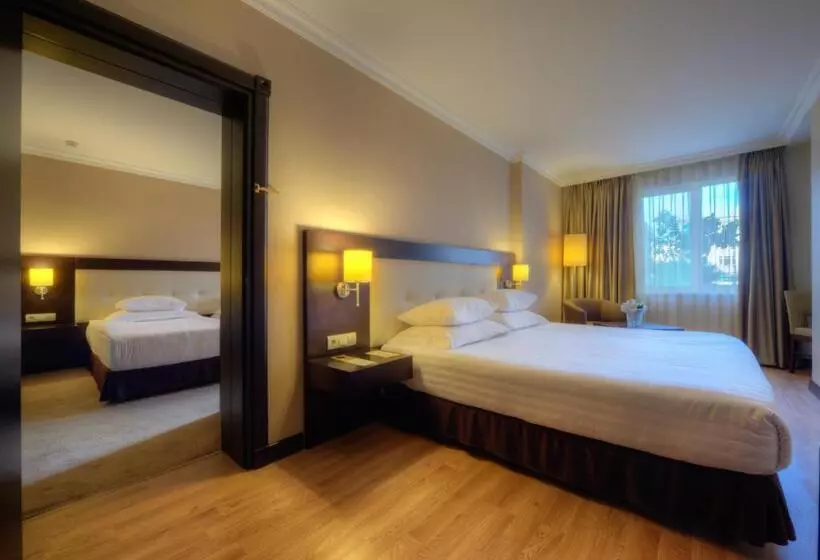 Fotos del hotel Eresin S Topkapi:  8