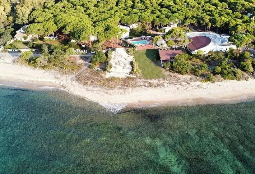 Fotos del hotel Mare Pineta:  12