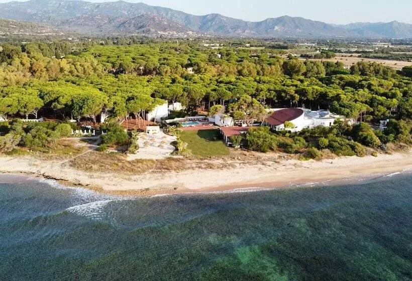 Fotos del hotel Mare Pineta:  16