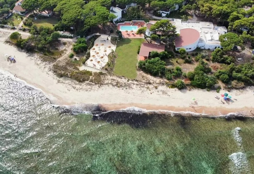 Fotos del hotel Mare Pineta:  18