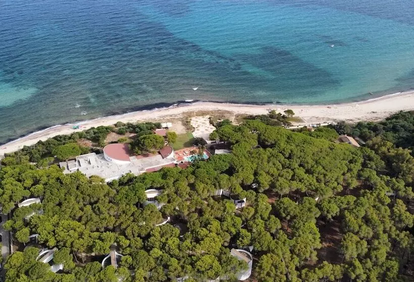 Fotos del hotel Mare Pineta:  20