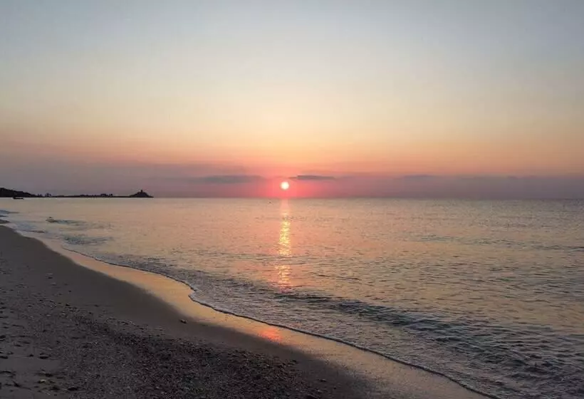 Fotos del hotel Mare Pineta:  25