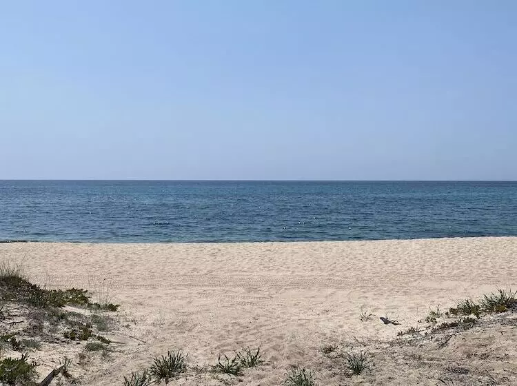 Fotos del hotel Mare Pineta:  22