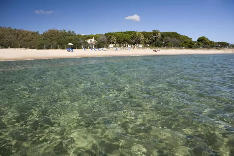 Fotos del hotel Mare Pineta:  19