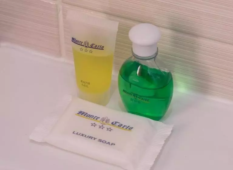 Fotos del hotel Monte Carlo:  6