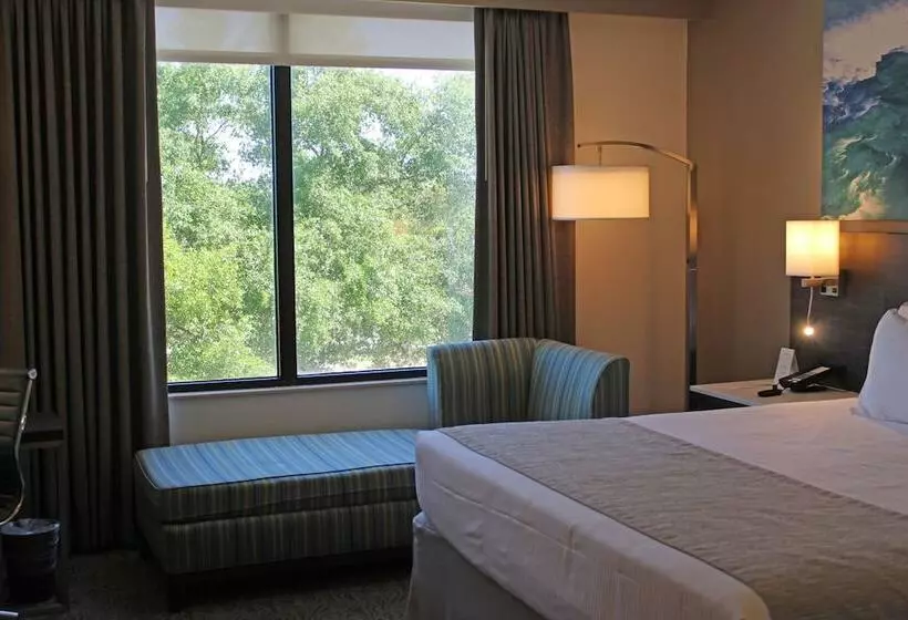 Fotos del hotel Buena Vista Suites Orlando:  2