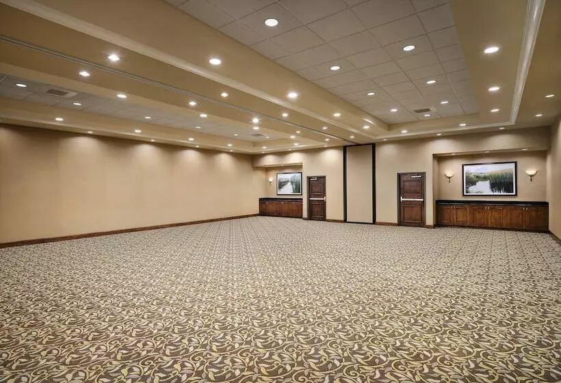 Fotos del hotel Buena Vista Suites Orlando:  22