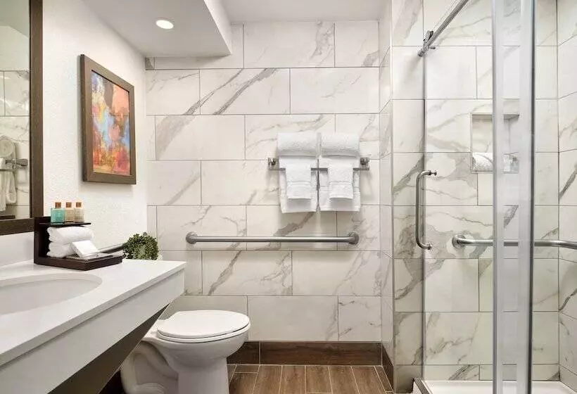 Fotos del hotel Buena Vista Suites Orlando:  15