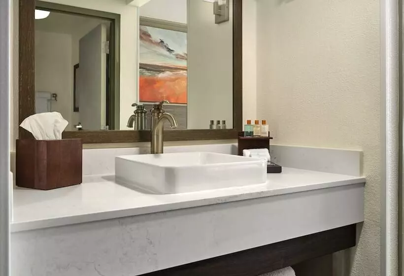 Fotos del hotel Buena Vista Suites Orlando:  20