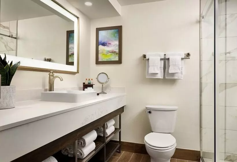 Fotos del hotel Buena Vista Suites Orlando:  8