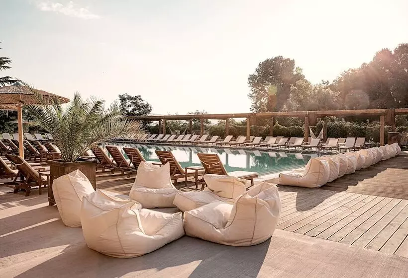 Fotos del hotel Cook's Club Sunny Beach - Adults Only:  19