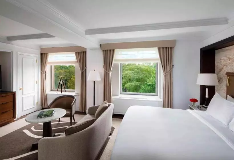 Fotos del hotel The Ritz-carlton New York, Central Park:  10