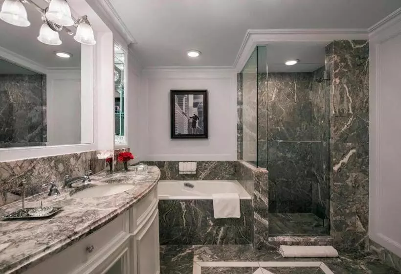 Fotos del hotel The Ritz-carlton New York, Central Park:  3