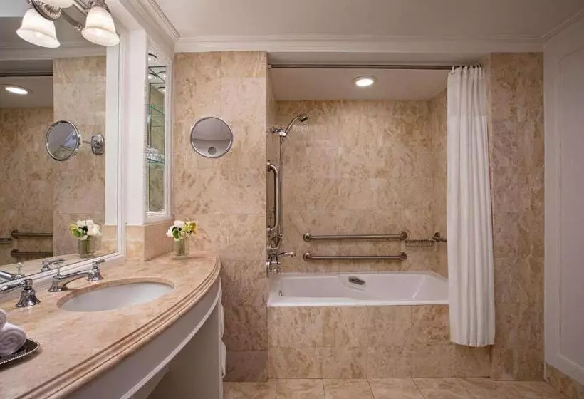 Fotos del hotel The Ritz-carlton New York, Central Park:  5