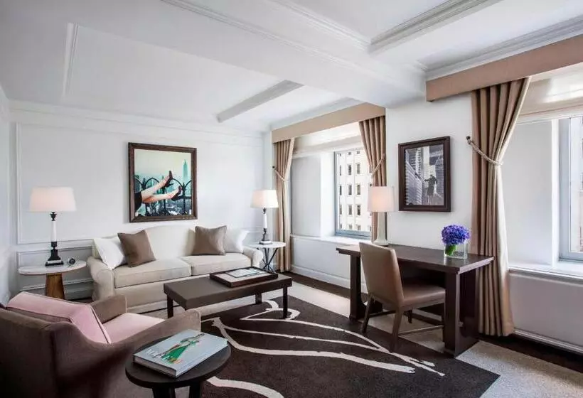 Fotos del hotel The Ritz-carlton New York, Central Park:  25