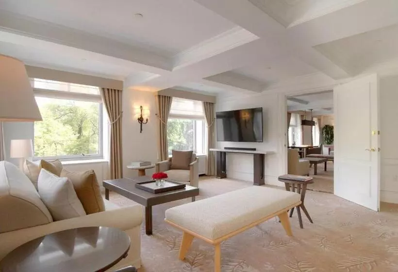 Fotos del hotel The Ritz-carlton New York, Central Park:  15