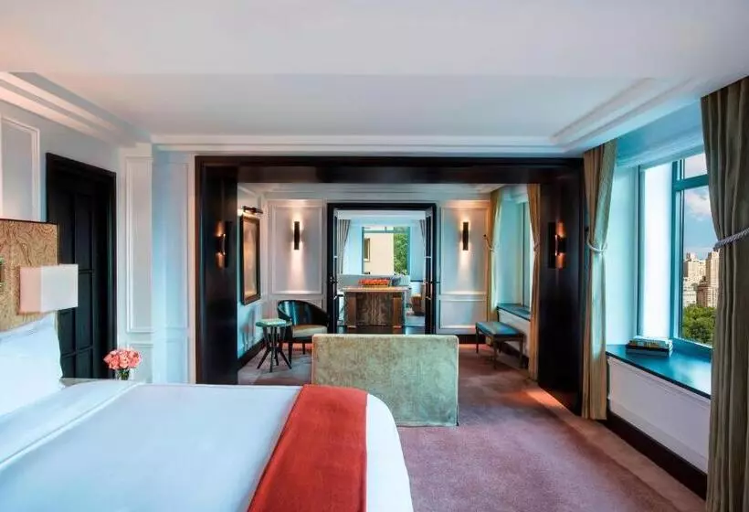 Fotos del hotel The Ritz-carlton New York, Central Park:  17