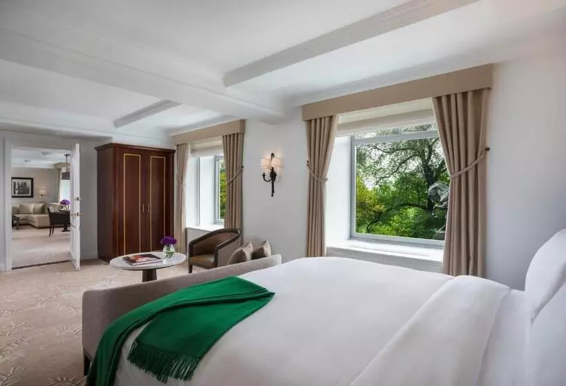 Fotos del hotel The Ritz-carlton New York, Central Park:  12
