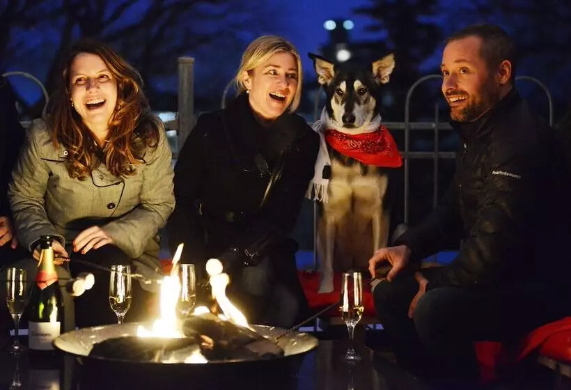 Fotos del hotel C3  Art De Vivre:  7