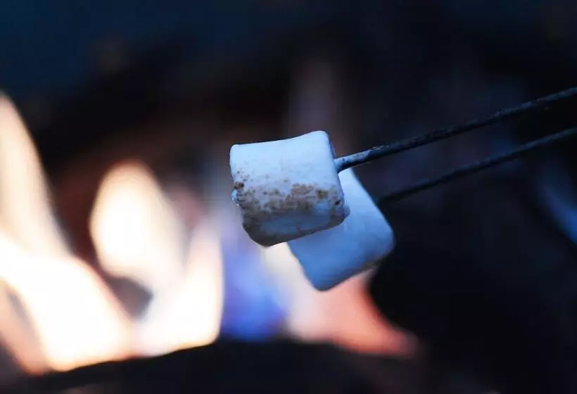 Fotos del hotel C3  Art De Vivre:  4