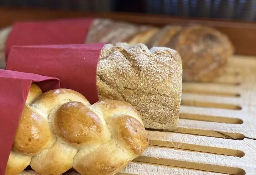 Fotos del hotel Gaia  Basel:  17