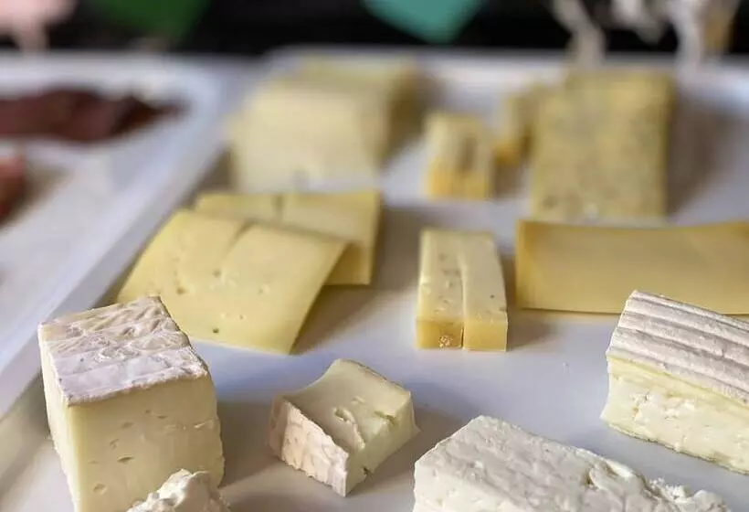 Fotos del hotel Gaia  Basel:  24