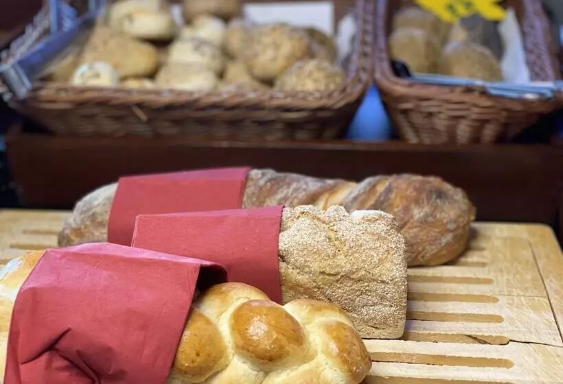 Fotos del hotel Gaia  Basel:  23