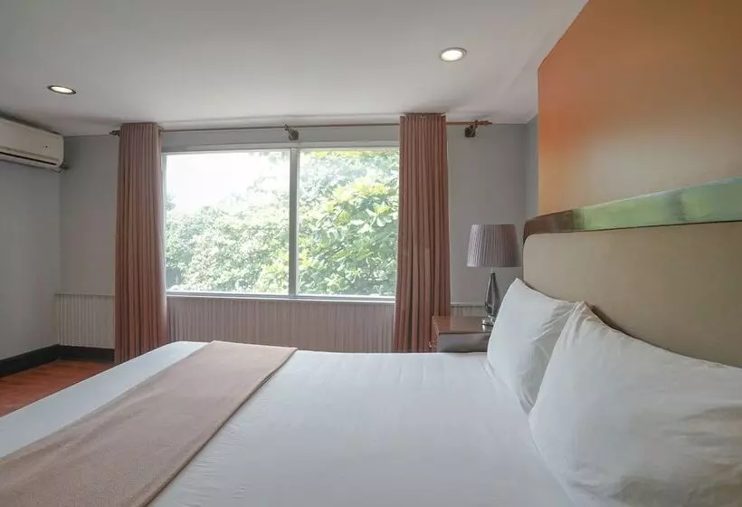 Fotos del hotel Oasis Park:  11