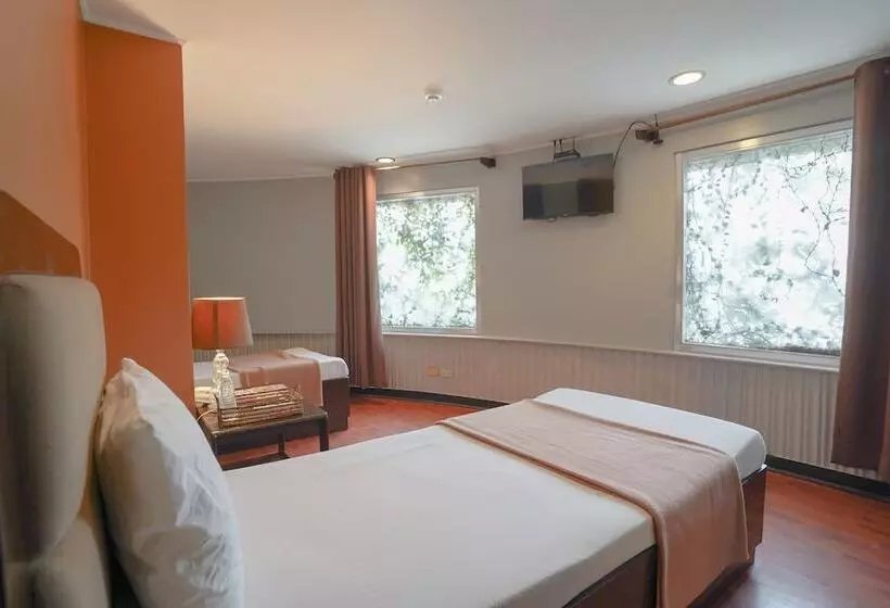 Fotos del hotel Oasis Park:  25