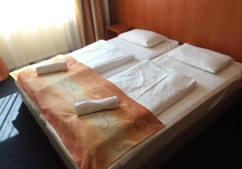 Fotos del hotel Hunor Hotel Budapest:  2