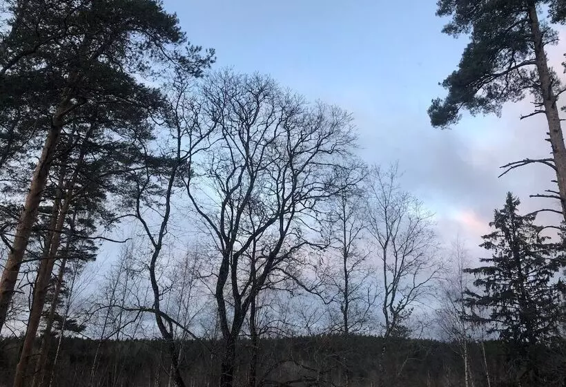 Fotos del hotel Backbyn Kartano:  19