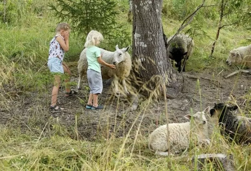 Fotos del hotel Backbyn Kartano:  18