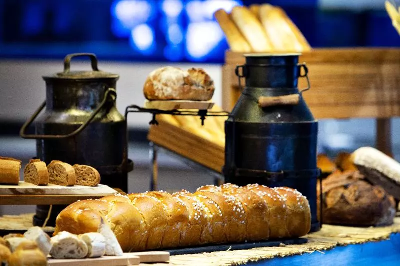 Fotos del hotel Pullman Toulouse Centre Ramblas:  25